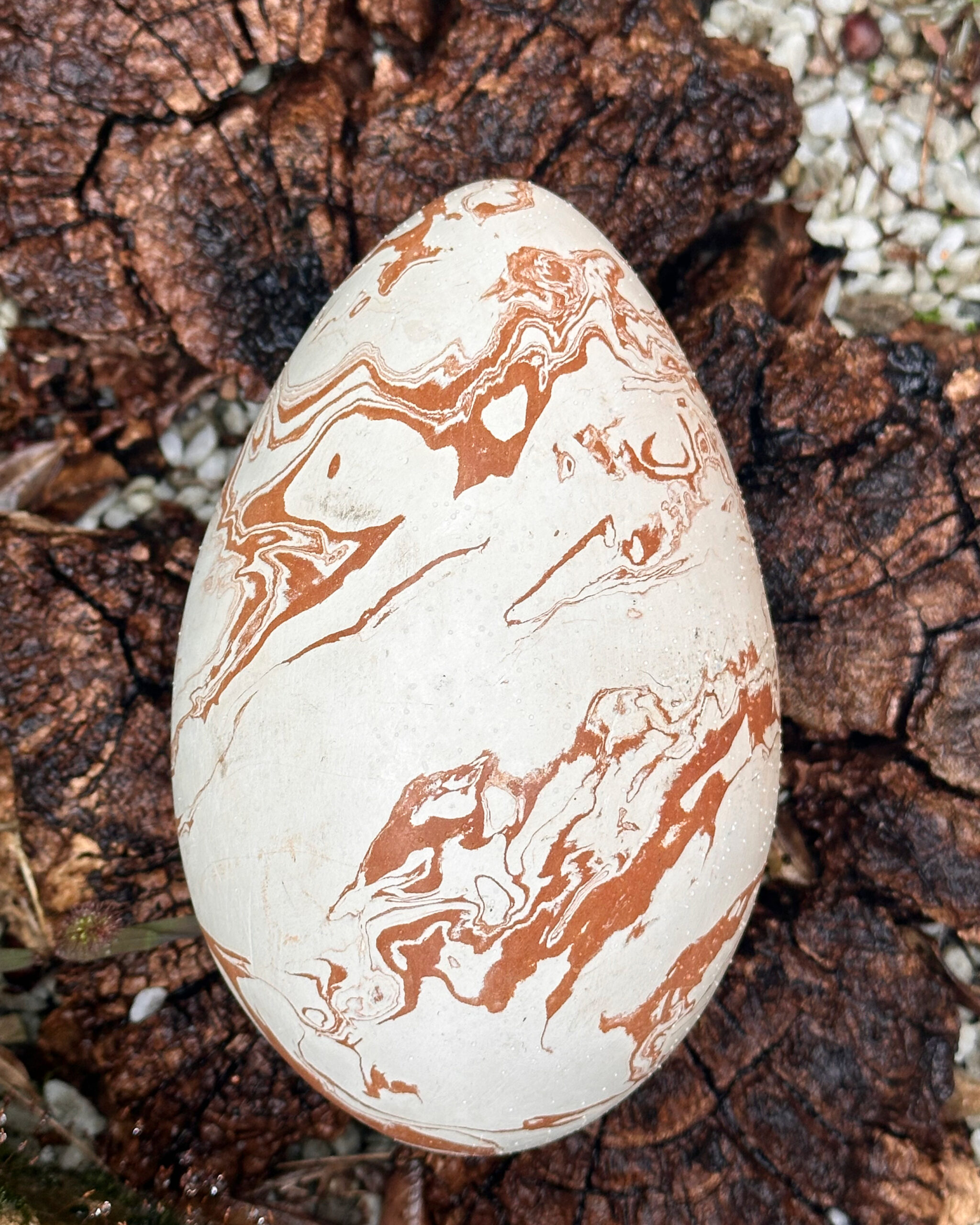 Onfalos White - Image 2